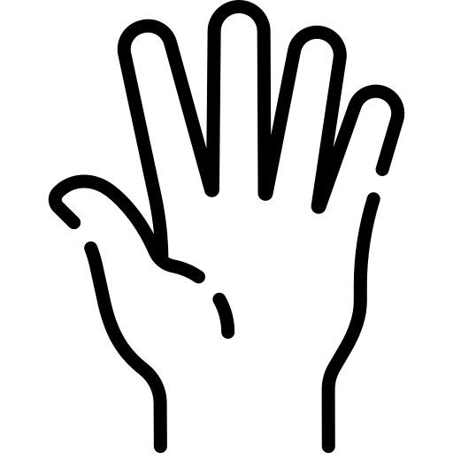 Icône main